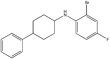 2-bromo-4-fluoro-N-(4-phenylcyclohexyl)aniline 구조식 이미지