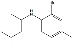 2-bromo-4-methyl-N-(4-methylpentan-2-yl)aniline 구조식 이미지
