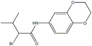 2-bromo-N-2,3-dihydro-1,4-benzodioxin-6-yl-3-methylbutanamide 구조식 이미지