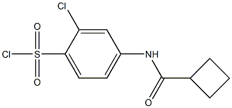 2-chloro-4-cyclobutaneamidobenzene-1-sulfonyl chloride Structure