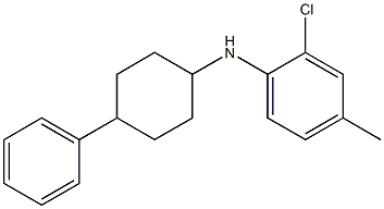 2-chloro-4-methyl-N-(4-phenylcyclohexyl)aniline 구조식 이미지