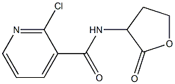 2-chloro-N-(2-oxooxolan-3-yl)pyridine-3-carboxamide Structure