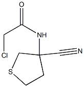 2-chloro-N-(3-cyanotetrahydrothien-3-yl)acetamide Structure