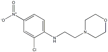 2-chloro-N-[2-(morpholin-4-yl)ethyl]-4-nitroaniline 구조식 이미지
