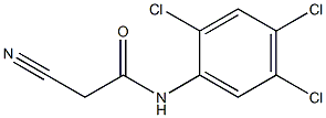 2-cyano-N-(2,4,5-trichlorophenyl)acetamide Structure