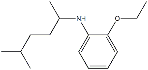 2-ethoxy-N-(5-methylhexan-2-yl)aniline Structure