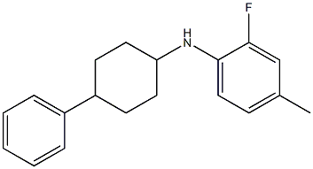 2-fluoro-4-methyl-N-(4-phenylcyclohexyl)aniline 구조식 이미지