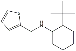 2-tert-butyl-N-(thiophen-2-ylmethyl)cyclohexan-1-amine Structure