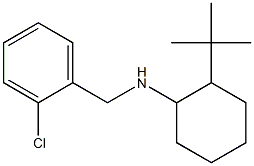 2-tert-butyl-N-[(2-chlorophenyl)methyl]cyclohexan-1-amine 구조식 이미지