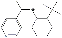 2-tert-butyl-N-[1-(pyridin-4-yl)ethyl]cyclohexan-1-amine Structure
