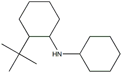 2-tert-butyl-N-cyclohexylcyclohexan-1-amine Structure