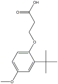 3-(2-tert-butyl-4-methoxyphenoxy)propanoic acid 구조식 이미지