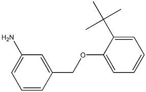 3-(2-tert-butylphenoxymethyl)aniline 구조식 이미지