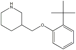 3-(2-tert-butylphenoxymethyl)piperidine Structure