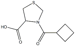 3-(cyclobutylcarbonyl)-1,3-thiazolidine-4-carboxylic acid Structure