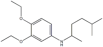 3,4-diethoxy-N-(5-methylhexan-2-yl)aniline 구조식 이미지