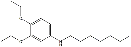 3,4-diethoxy-N-heptylaniline Structure
