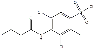 3,5-dichloro-2-methyl-4-(3-methylbutanamido)benzene-1-sulfonyl chloride 구조식 이미지