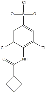 3,5-dichloro-4-cyclobutaneamidobenzene-1-sulfonyl chloride Structure