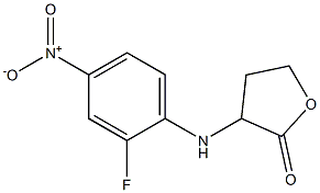 3-[(2-fluoro-4-nitrophenyl)amino]oxolan-2-one Structure