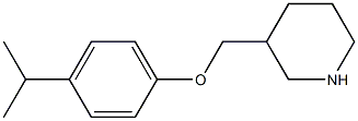 3-[4-(propan-2-yl)phenoxymethyl]piperidine 구조식 이미지