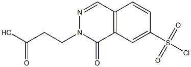 3-[7-(chlorosulfonyl)-1-oxo-1,2-dihydrophthalazin-2-yl]propanoic acid Structure