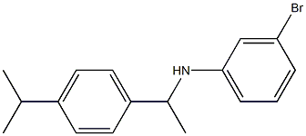 3-bromo-N-{1-[4-(propan-2-yl)phenyl]ethyl}aniline 구조식 이미지