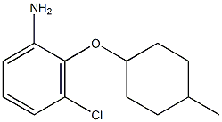 3-chloro-2-[(4-methylcyclohexyl)oxy]aniline Structure