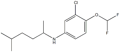 3-chloro-4-(difluoromethoxy)-N-(5-methylhexan-2-yl)aniline Structure