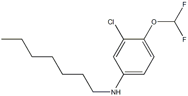 3-chloro-4-(difluoromethoxy)-N-heptylaniline 구조식 이미지