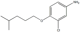 3-chloro-4-[(4-methylpentyl)oxy]aniline Structure