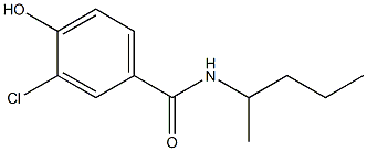 3-chloro-4-hydroxy-N-(pentan-2-yl)benzamide Structure