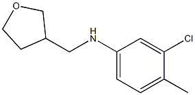 3-chloro-4-methyl-N-(oxolan-3-ylmethyl)aniline 구조식 이미지