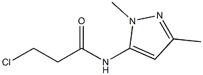 3-chloro-N-(1,3-dimethyl-1H-pyrazol-5-yl)propanamide Structure