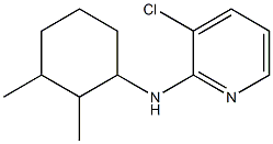 3-chloro-N-(2,3-dimethylcyclohexyl)pyridin-2-amine 구조식 이미지