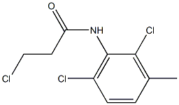 3-chloro-N-(2,6-dichloro-3-methylphenyl)propanamide 구조식 이미지