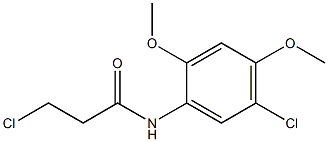 3-chloro-N-(5-chloro-2,4-dimethoxyphenyl)propanamide 구조식 이미지