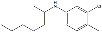 3-chloro-N-(heptan-2-yl)-4-methylaniline 구조식 이미지