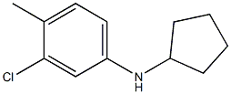 3-chloro-N-cyclopentyl-4-methylaniline 구조식 이미지