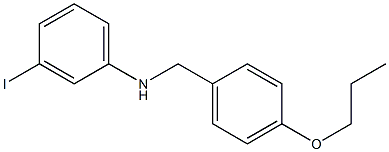 3-iodo-N-[(4-propoxyphenyl)methyl]aniline 구조식 이미지