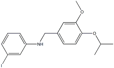 3-iodo-N-{[3-methoxy-4-(propan-2-yloxy)phenyl]methyl}aniline Structure