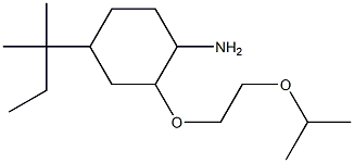 4-(2-methylbutan-2-yl)-2-[2-(propan-2-yloxy)ethoxy]cyclohexan-1-amine Structure