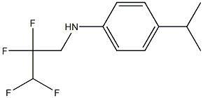 4-(propan-2-yl)-N-(2,2,3,3-tetrafluoropropyl)aniline Structure