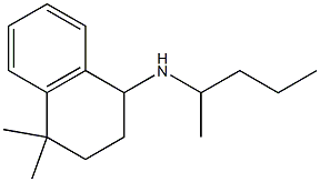 4,4-dimethyl-N-(pentan-2-yl)-1,2,3,4-tetrahydronaphthalen-1-amine 구조식 이미지