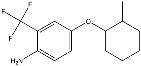 4-[(2-methylcyclohexyl)oxy]-2-(trifluoromethyl)aniline 구조식 이미지