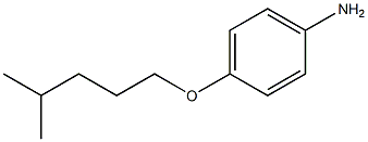 4-[(4-methylpentyl)oxy]aniline 구조식 이미지