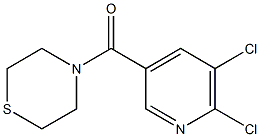 4-[(5,6-dichloropyridin-3-yl)carbonyl]thiomorpholine 구조식 이미지