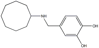 4-[(cyclooctylamino)methyl]benzene-1,2-diol 구조식 이미지
