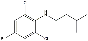 4-bromo-2,6-dichloro-N-(4-methylpentan-2-yl)aniline 구조식 이미지