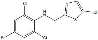 4-bromo-2,6-dichloro-N-[(5-chlorothiophen-2-yl)methyl]aniline 구조식 이미지